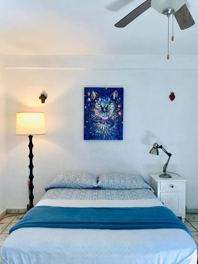 San José del Cabo Hotel Posada Senor Manana מראה חיצוני תמונה