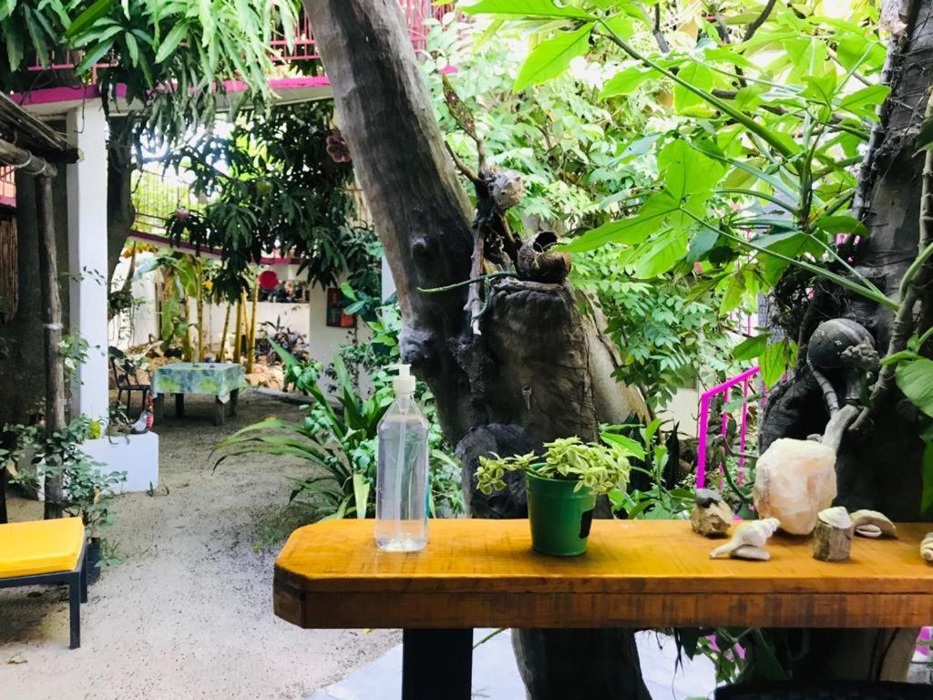 San José del Cabo Hotel Posada Senor Manana מראה חיצוני תמונה