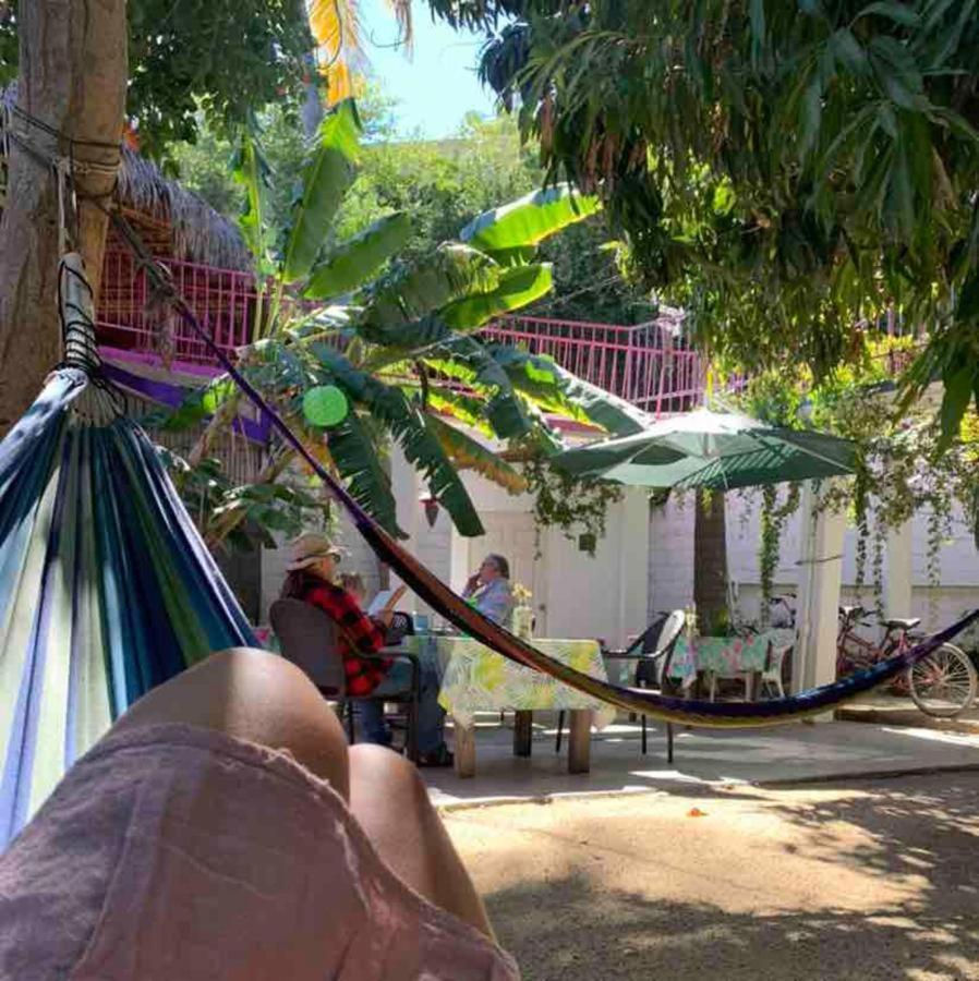 San José del Cabo Hotel Posada Senor Manana מראה חיצוני תמונה