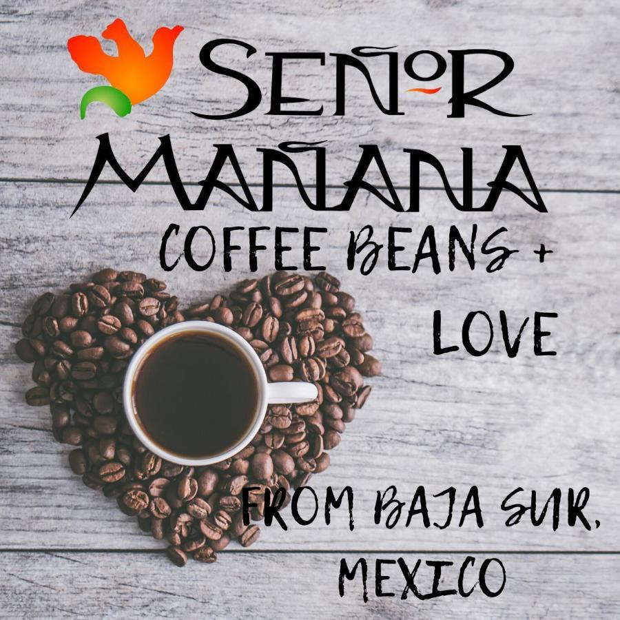 San José del Cabo Hotel Posada Senor Manana מראה חיצוני תמונה